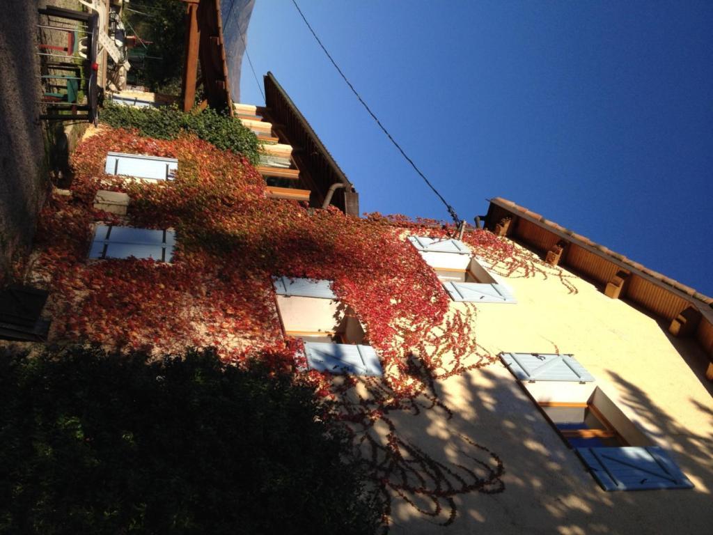 Le Mas Shabanou Roquefort-les-Pins Exterior photo