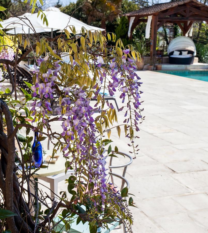 Le Mas Shabanou Roquefort-les-Pins Exterior photo